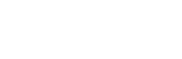 奉天波波品牌标志